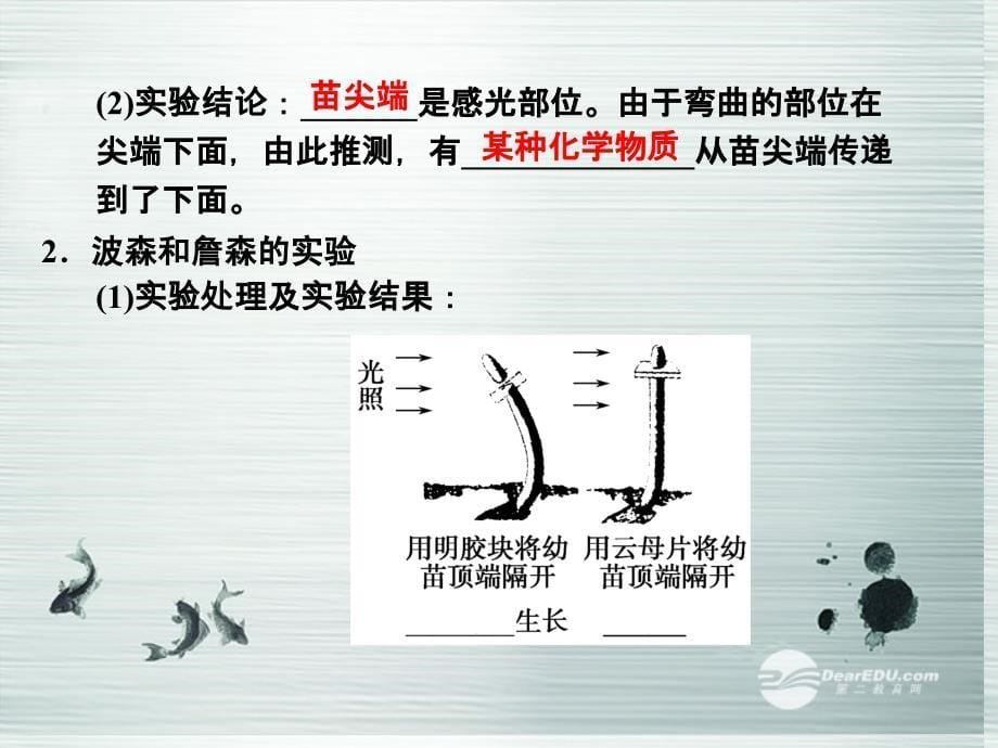 【创新设计】2013-2014学年高中生物 1-1-1生长素的发现课件 浙科版必修3.ppt_第5页