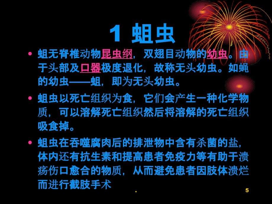 蛆虫治疗糖尿病患者伤口PPT课件_第5页