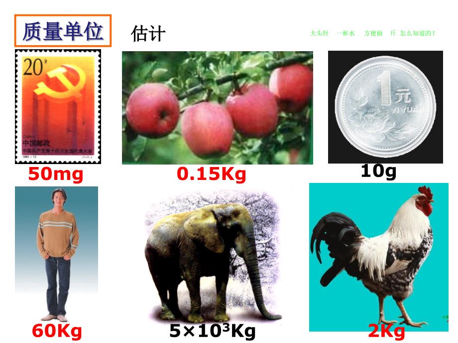 第一节 物体的质量_第4页