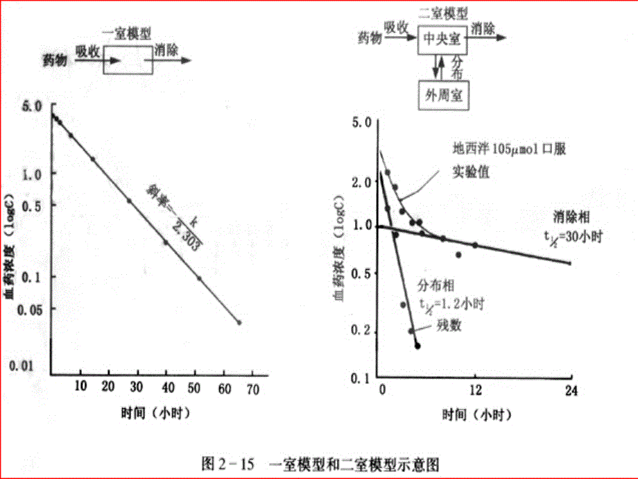 药物代谢动力学模型1PPT课件_第4页