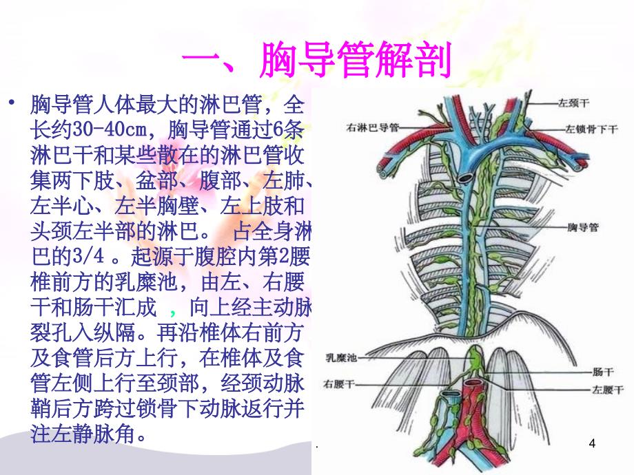 乳糜胸查房PPT课件_第4页