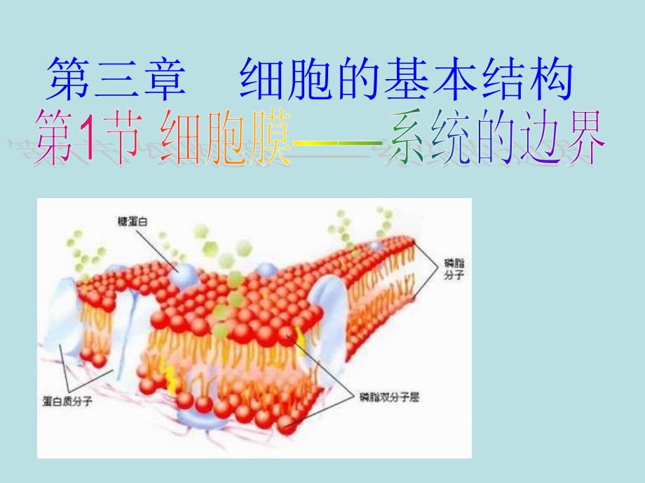 第1节 细胞膜系统的边界][1][1].PTT_第1页