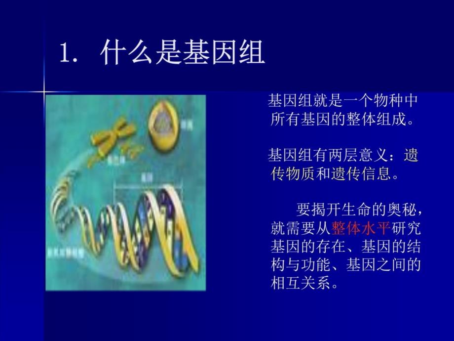 基因组测序与序列组装教学文案_第3页