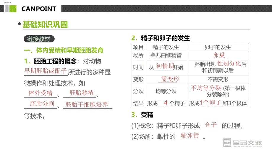 第38讲---胚胎工程及生物技术的安全性和伦理问题_第4页