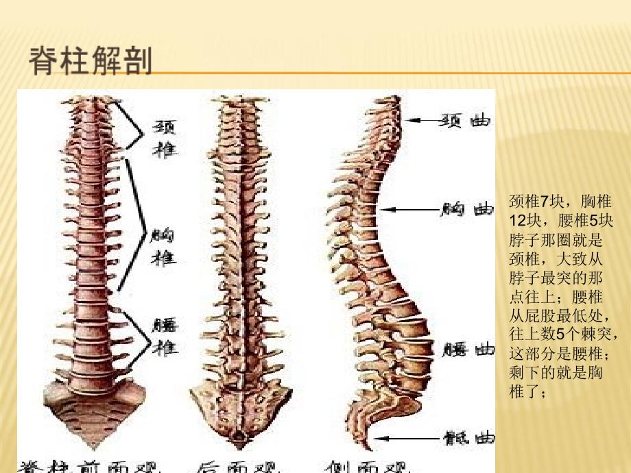 经皮椎体成形术的病历讨论教学提纲_第4页