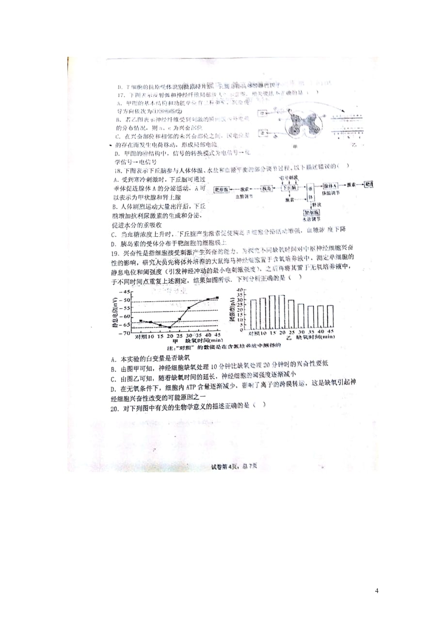 山西省高三生物第二轮复习限时训练试题（五）（扫描版无答案）_第4页