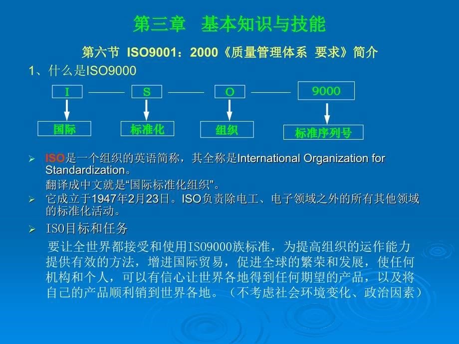 某某公司ISO9001：2000《质量管理体系 要求》简介_第5页