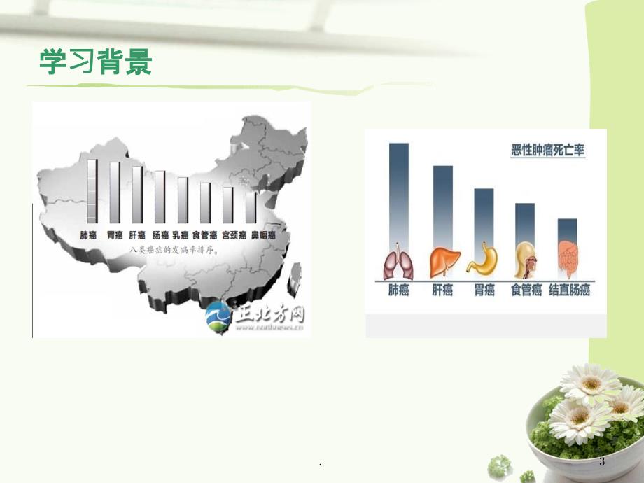 原发性肝癌的护理PPT课件_第3页