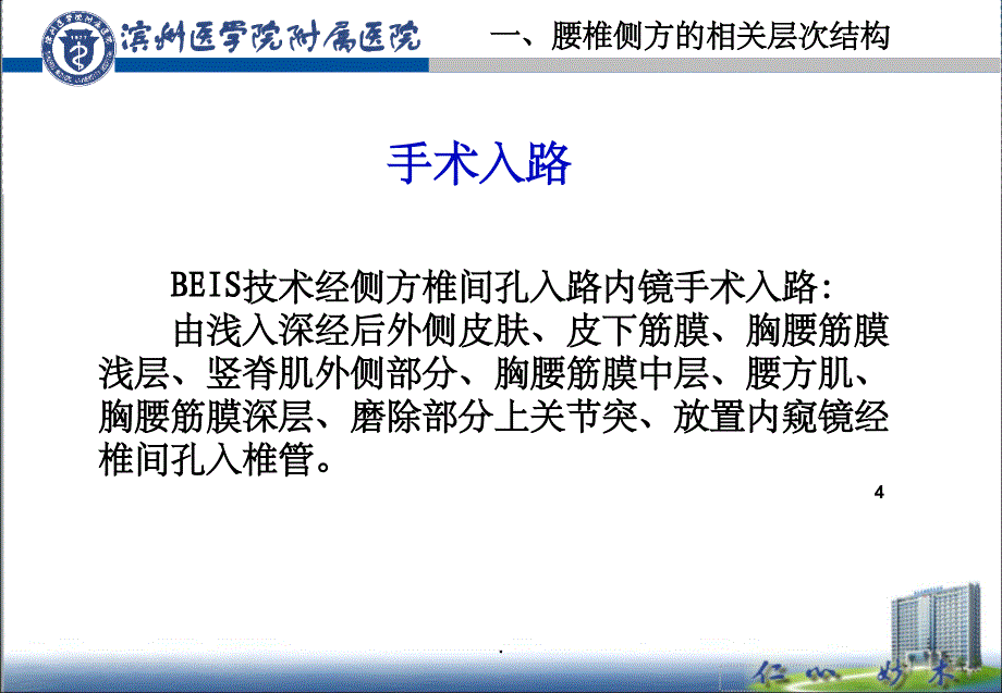 椎间孔入路的应用解剖PPT课件_第4页