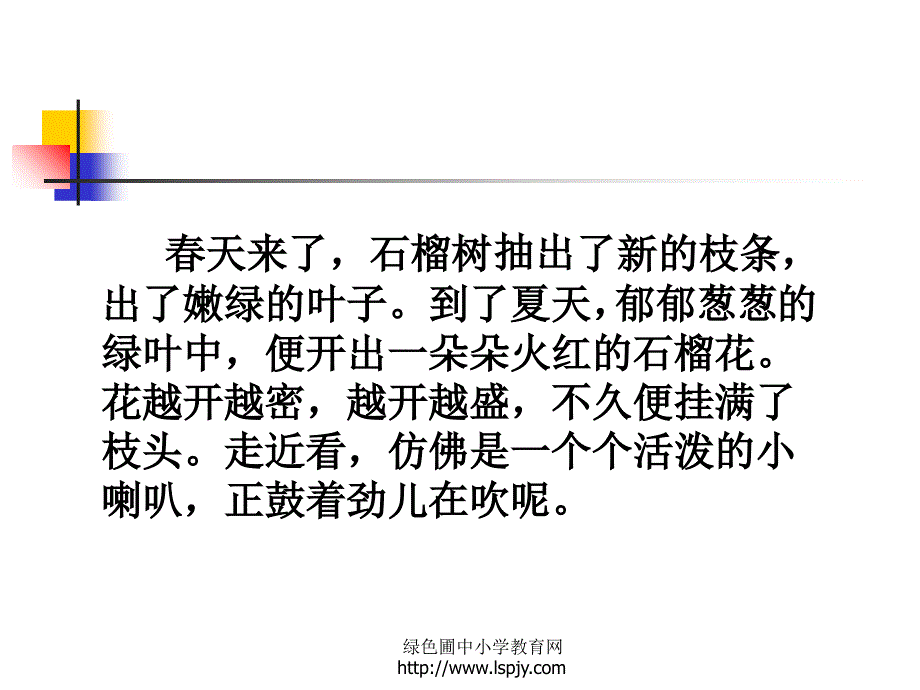 苏教版小学三年级上学期语文《石榴》公开课课件_第4页