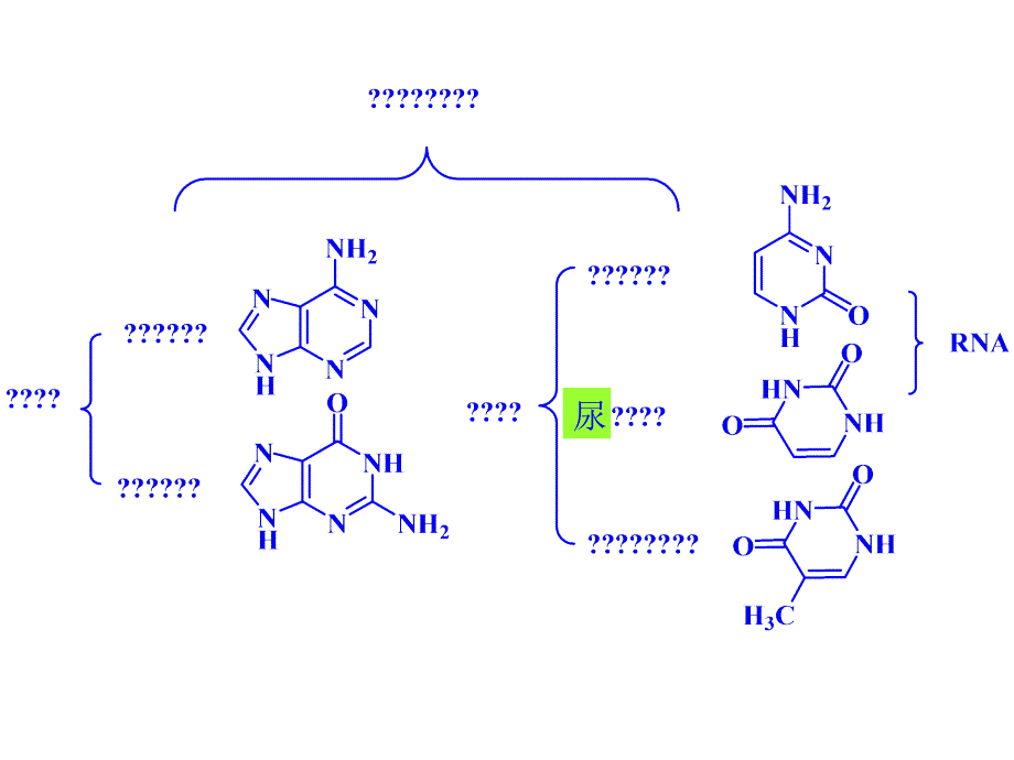 六 核酸类物质的发酵机制_第4页