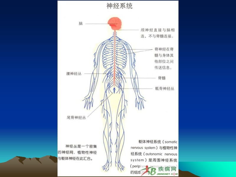 教师招聘心理学培训资料PPT课件_第5页