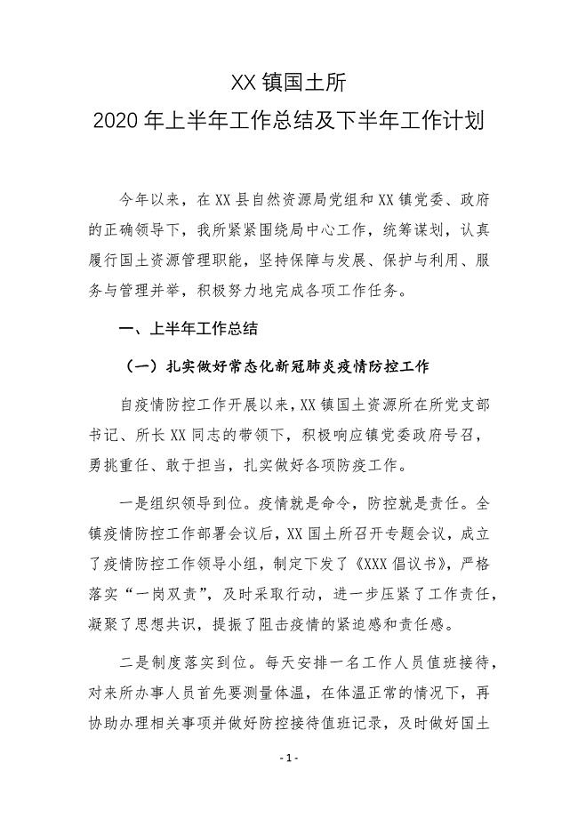 XX镇国土所2020年上半年工作总结及下半年工作计划