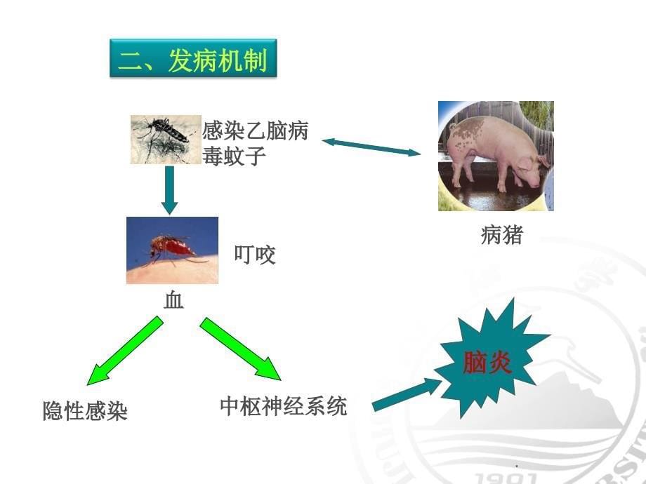 流行性乙型脑炎病人的护理最新版本_第5页