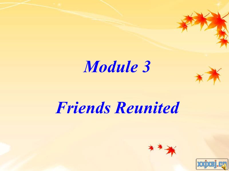 英语外研版选修六 Module3 cultural corner Friends Reunited_第1页