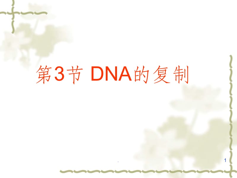 DNA分子的复制1精58263ppt课件_第1页