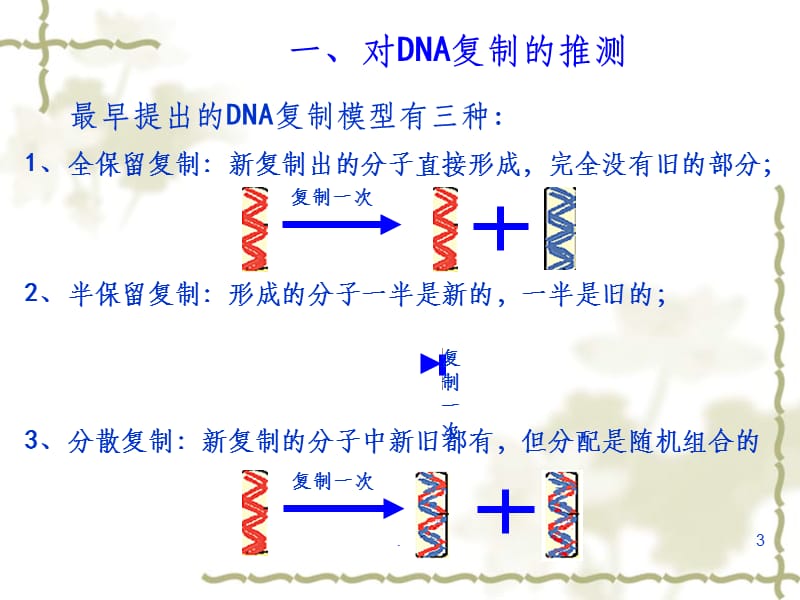 DNA分子的复制1精58263ppt课件_第3页