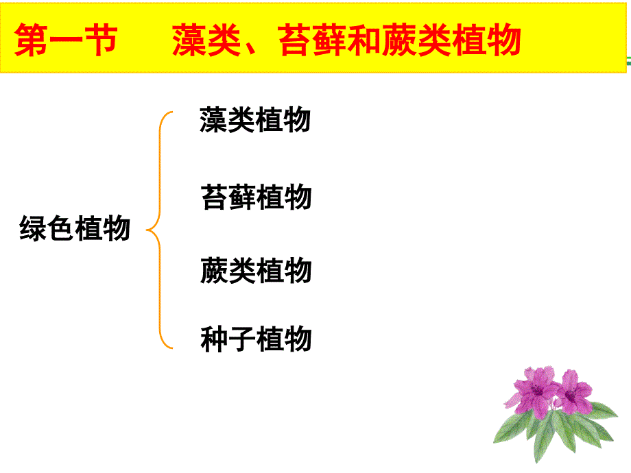 藻类 苔藓和蕨类植物 七年级上册课件_第3页