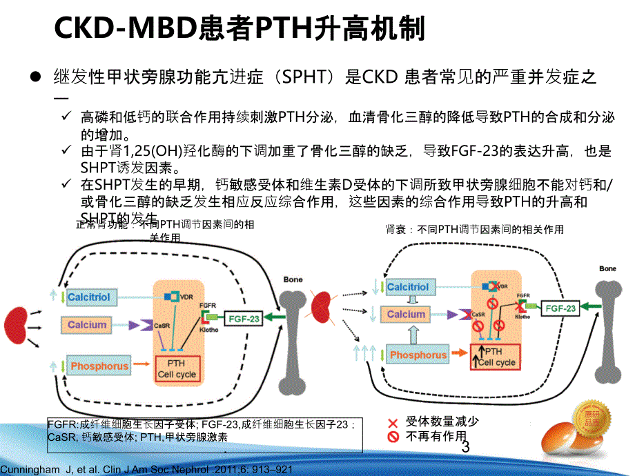 CKD患者PTH达标范围解读ppt课件_第3页