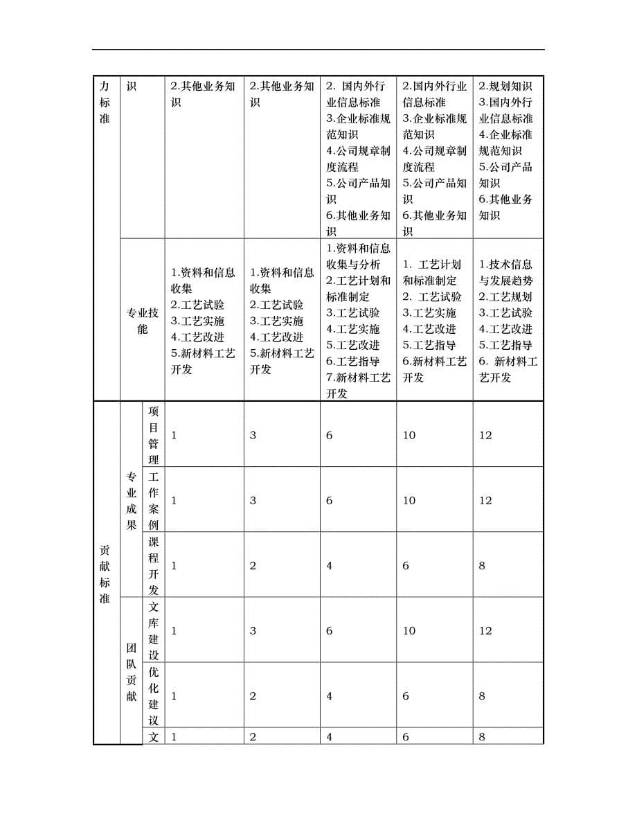 （2020）（技术规范标准）任职资格标准-技术族-工艺类_第5页