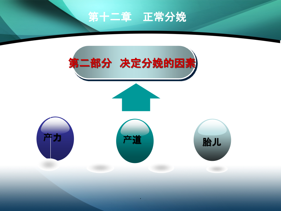 精品精--分娩生理PPT课件_第3页