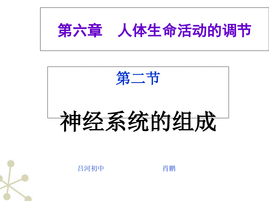 七年级生物下册神经系统的组成课件人教新课标版2演示教学_第1页