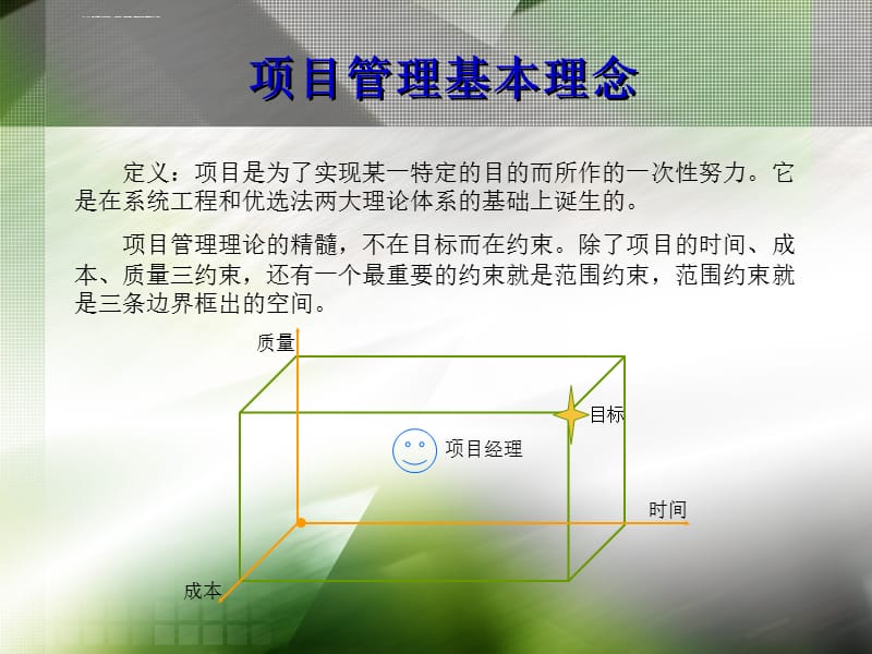 项目管理及实例应用_第2页