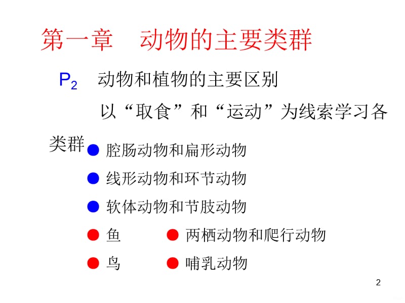 腔肠动物和扁形动物(2)(2)ppt课件_第2页