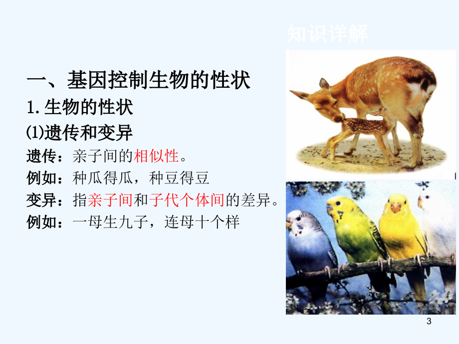 （湖南地区）中考生物复习第七单元第四节生物的遗传和变异课件_第3页