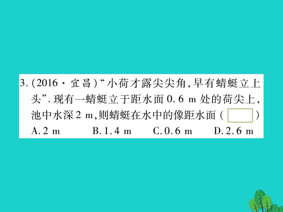 （湖北专版）中考物理总复习第二篇热点专题分类突破专题二光现象透镜及其应用课件_第4页