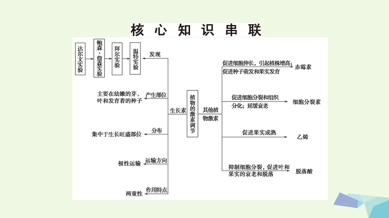 （通用版）高考生物二轮复习第1部分板块3调节专题11植物的激素调节课件_第3页