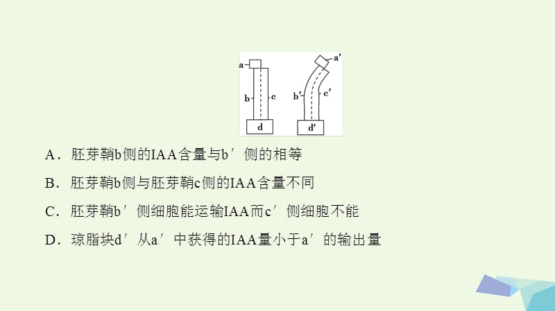 （通用版）高考生物二轮复习第1部分板块3调节专题11植物的激素调节课件_第5页