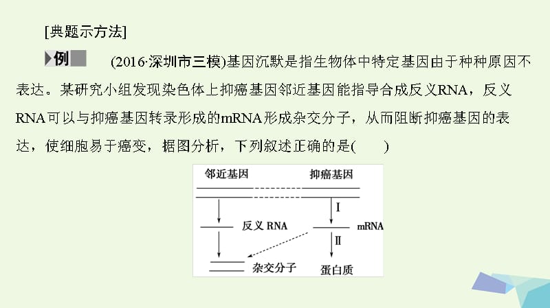 （通用版）高考生物二轮复习第2部分专项体能突破专项1热点题型5信息给予类课件_第4页