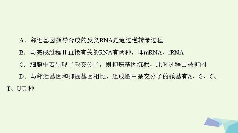 （通用版）高考生物二轮复习第2部分专项体能突破专项1热点题型5信息给予类课件_第5页