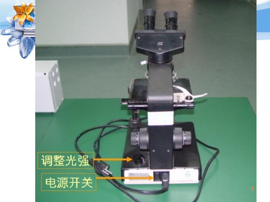 实验技能天然药物鉴定ppt课件_第4页