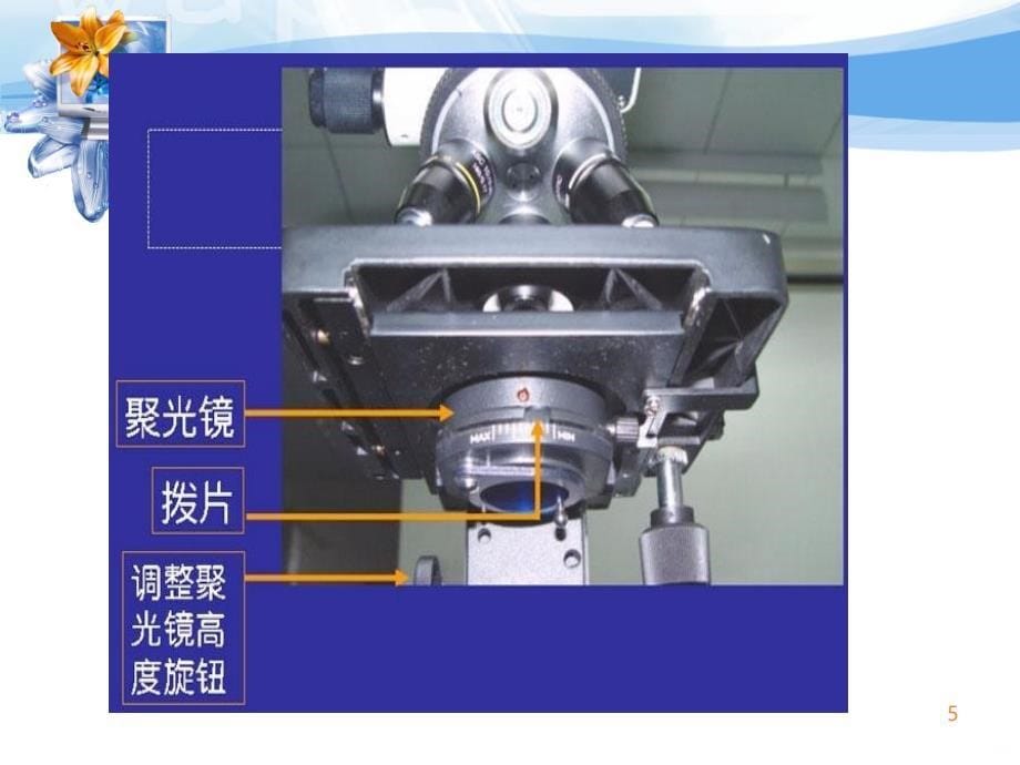 实验技能天然药物鉴定ppt课件_第5页