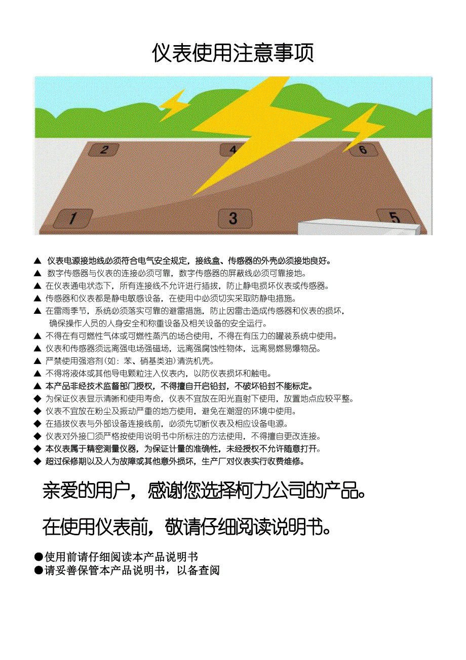 D2008型电子称重仪表调试说明书.doc_第2页