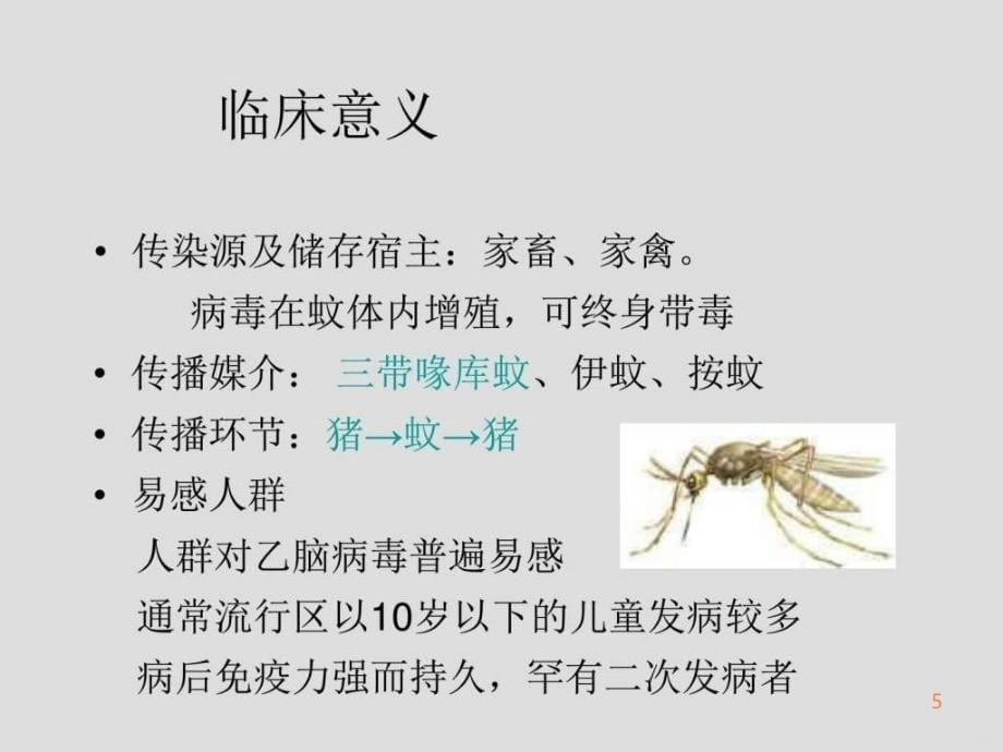 最新黄病毒PPT课件_第5页