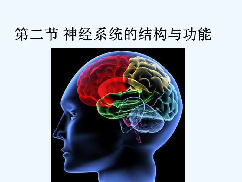 浙江省嘉兴市高中生物第二章动物生命活动的调节2.2神经系统的结构与功能课件浙科版必修3_第1页