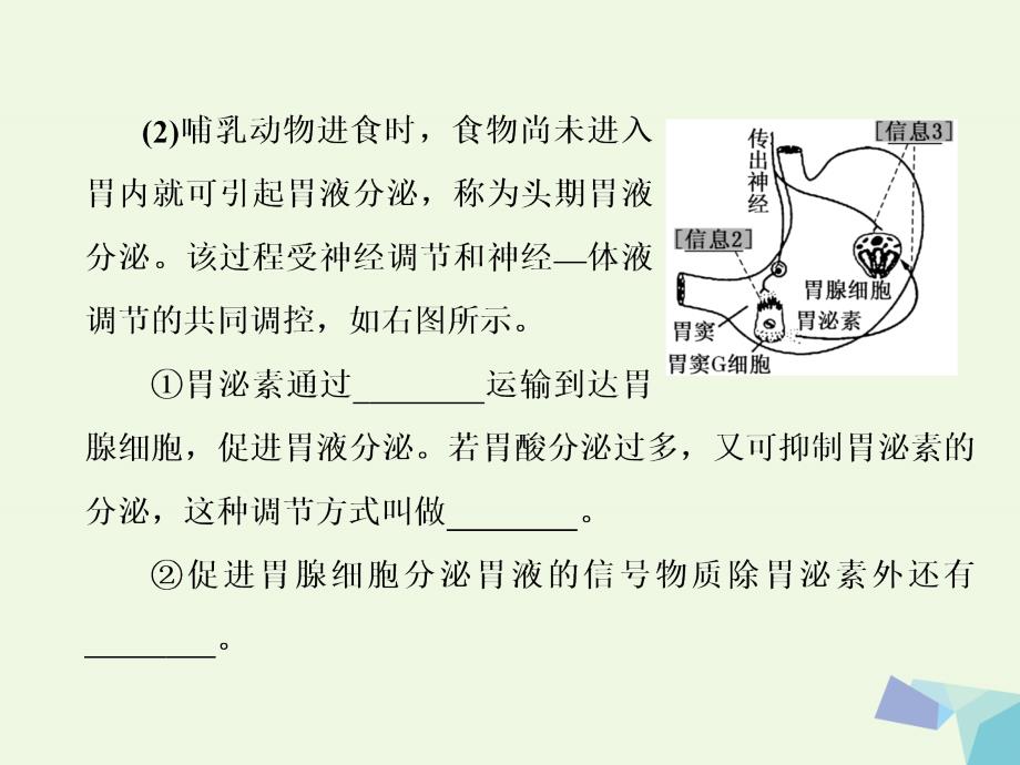 （通用版）高考生物二轮复习第一部分专题四实验系统第3讲通晓解题技法——4大技法让你“快速找到突破口”课件_第3页