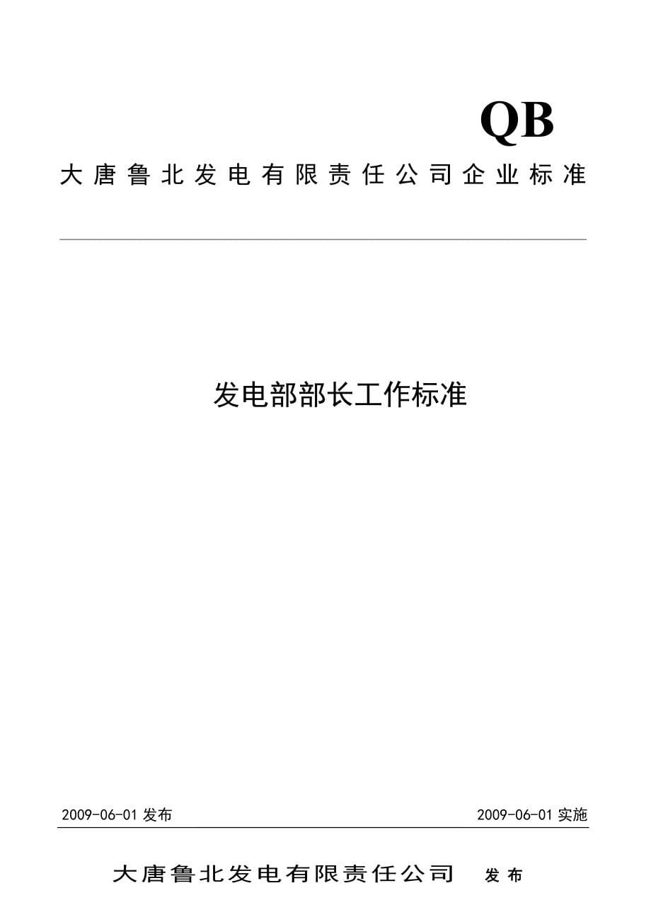 (2020年)（岗位职责）发电部岗位工作标准汇总(doc 134页)_第5页