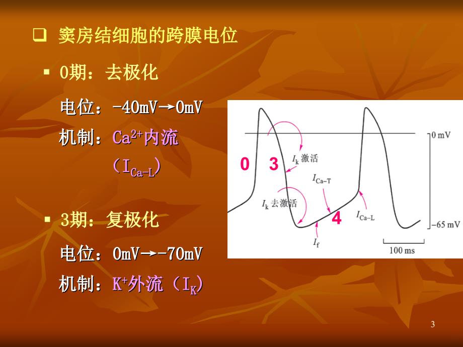 生理血液循环 (2)ppt课件_第3页