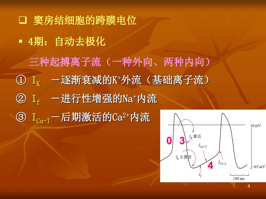 生理血液循环 (2)ppt课件_第4页