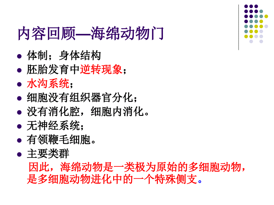 三胚层无体腔动物(四)扁形动物门(精)教案资料_第1页