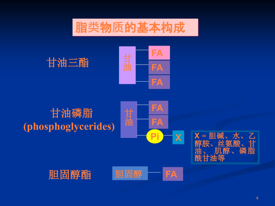 食品营养学理论学习(1)ppt课件_第4页