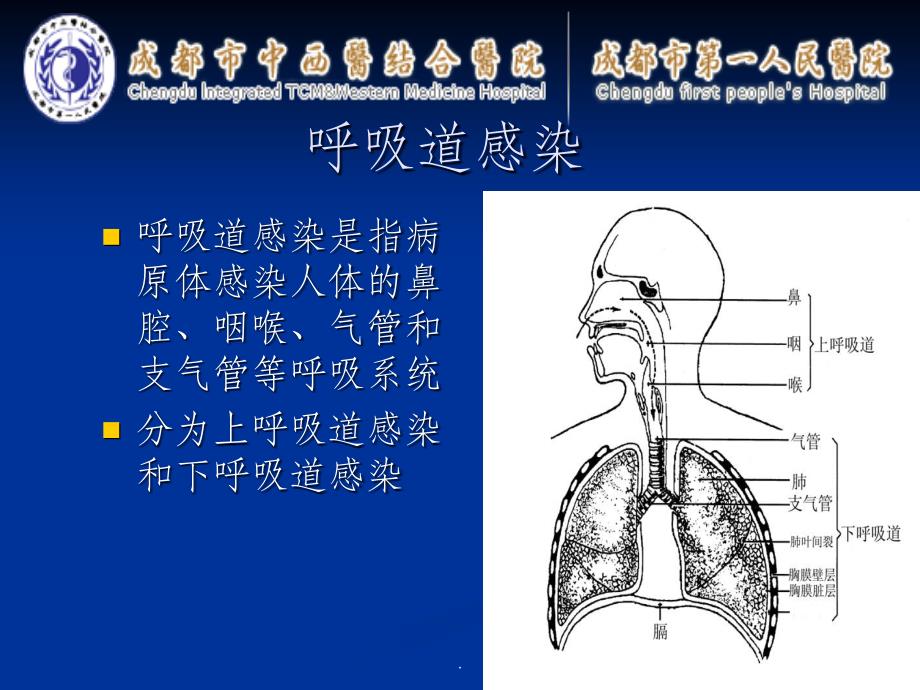 呼吸道九联检病原体检测及其临床意义ppt课件_第2页