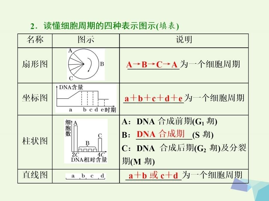 （通用版）高考生物二轮复习第一部分专题一细胞系统第4讲第1课时细胞分裂课件_第5页