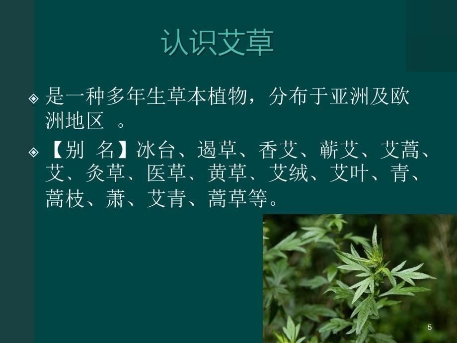 悬灸治疗关节疼痛ppt课件_第5页