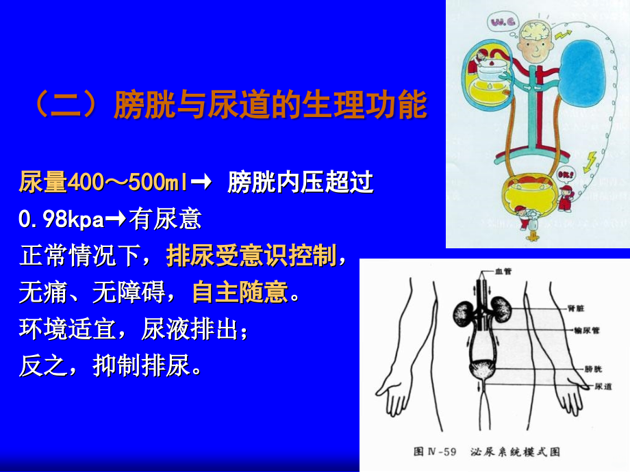 排泄护理第一节排尿护理ppt课件_第4页