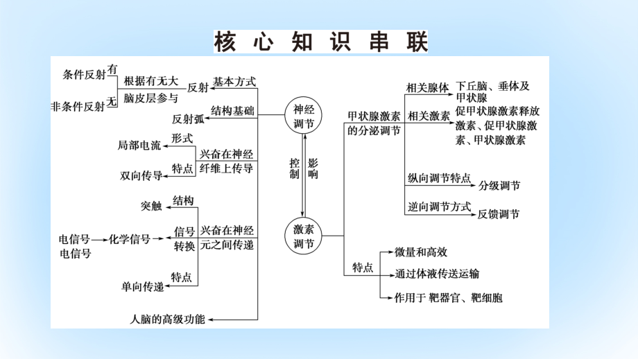 （通用版）高考生物二轮复习第1部分板块3调节专题9动物和人体生命活动的调节课件_第3页